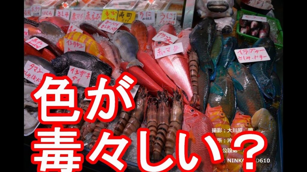 アキーラさん散策！沖縄県那覇市・第一牧志公設市場！Makishi-Market in Naha city,Japan