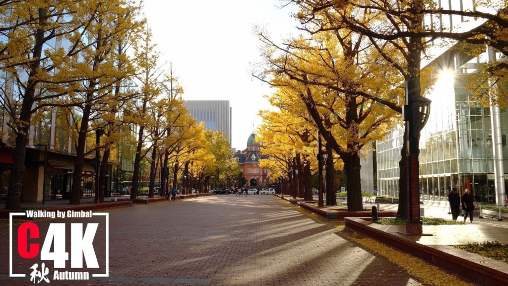 Walk in the Sapporo Station, Hokkaido Government Office and Akapla C4K / 秋の札幌駅 北海道庁 アカプラまで紅葉散歩 C4K