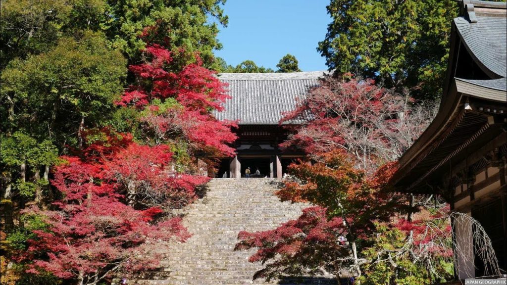 JG 4K HDR 京都 神護寺の紅葉(重文) Kyoto Jingoji (Cultural Property)