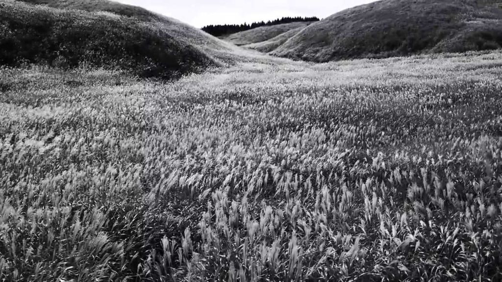 2013　Landscapes in Aso・Kumamoto