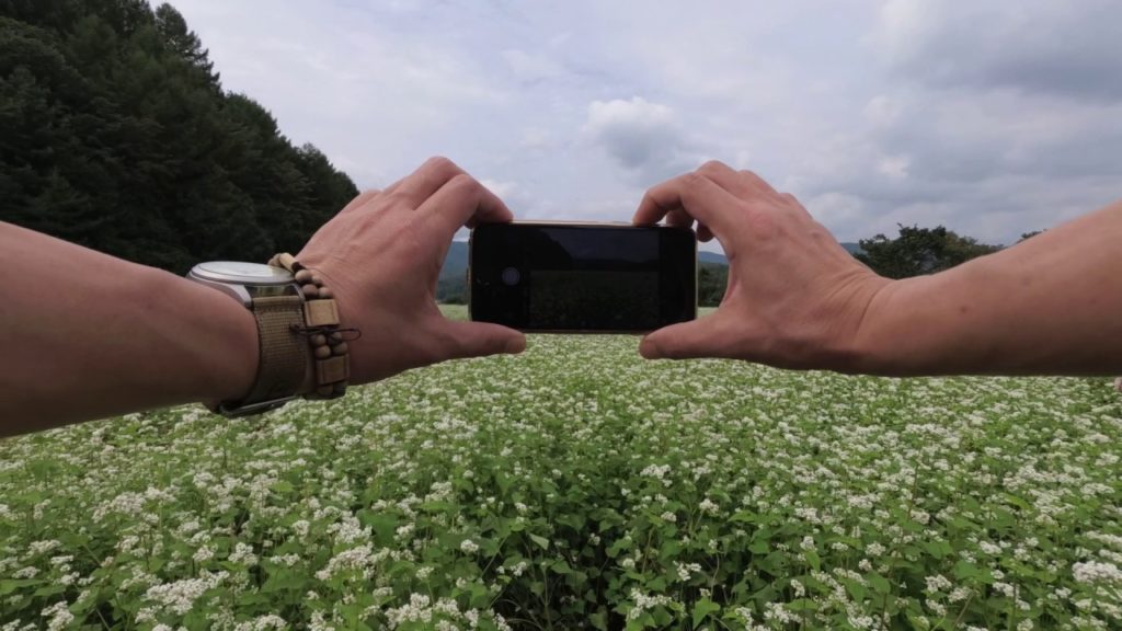 평창 효석문화제(봉평 메밀꽃축제) – Walking around Hyoseok Cultural Festival, Pyeongchang, Korea 평창 효석문화제(봉평 메밀꽃축제) - Walking around Hyoseok Cultural Festival, Pyeongchang, Korea