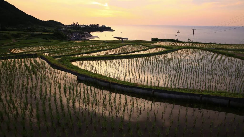 Japan 1 Minute Travel Kyoto Ine