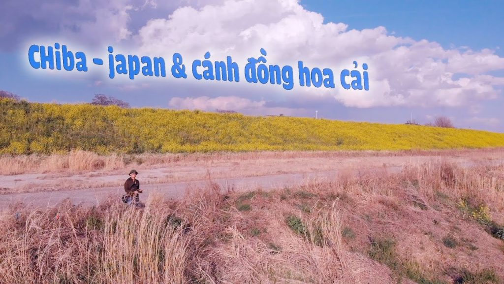 du lịch nhật bản 1 – cảnh đẹp chiba – tokyo mùa hoa cải du lịch nhật bản 1 - cảnh đẹp chiba - tokyo mùa hoa cải
