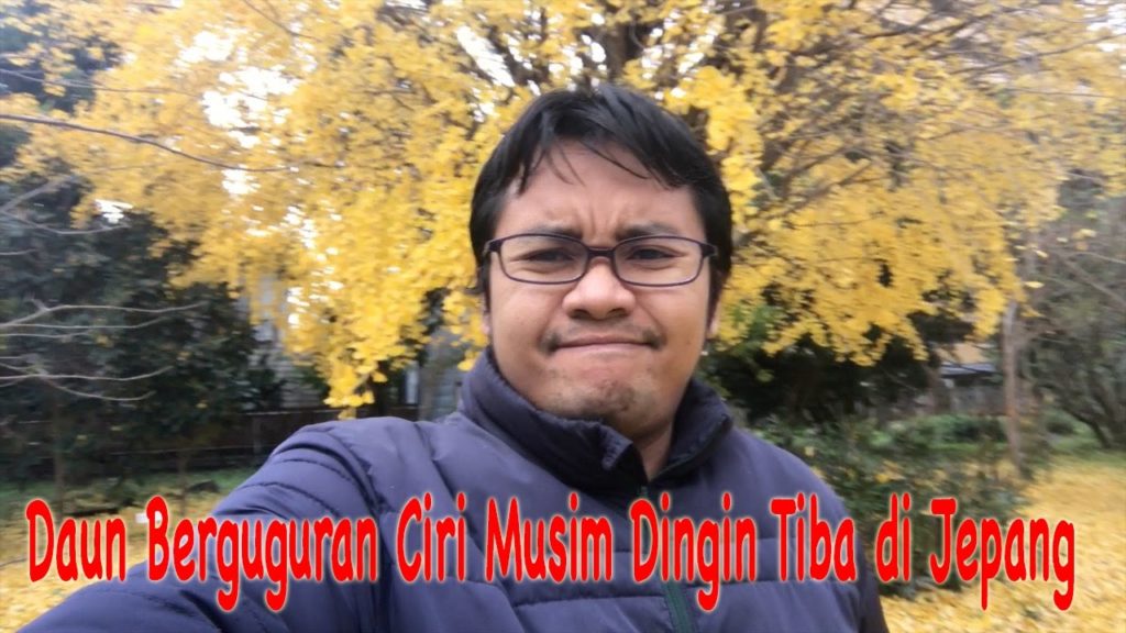 Daun Berguguran Ciri Winter Tiba di Kumamoto - Jepang