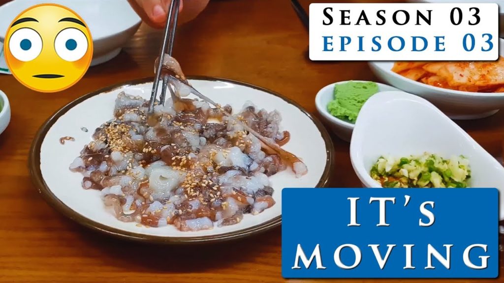 EATING LIVE OCTOPUS in the biggest fish market of South Korea |  Model Lifestyle s03e03