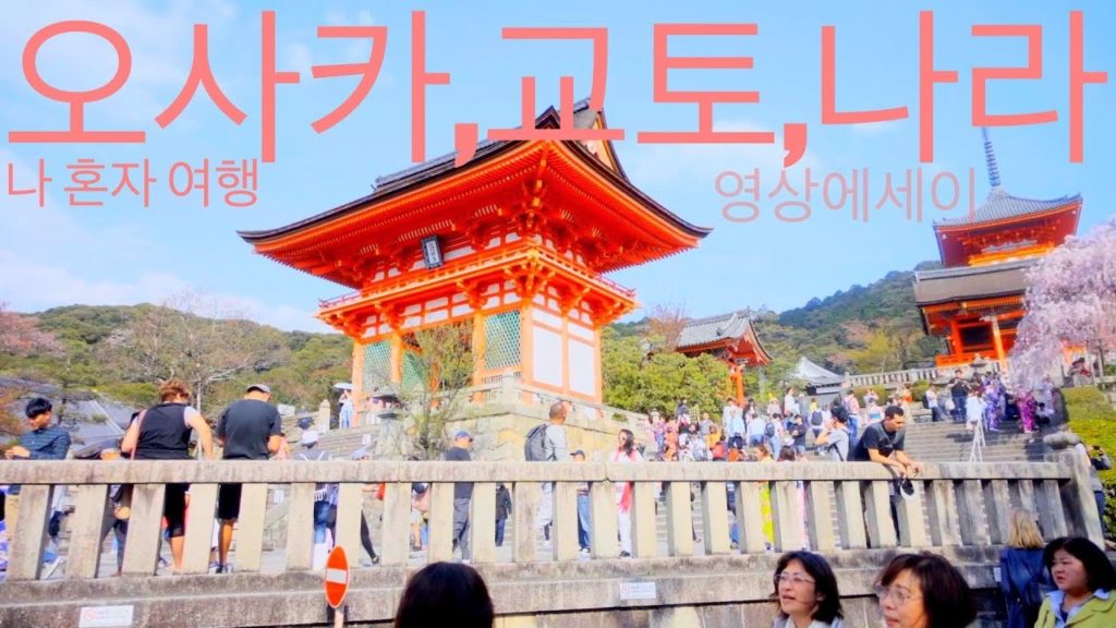 일본 벚꽃여행 l 오사카 교토 나라 여행 ㅣ일본 여행 브이로그 ㅣjapan sakura kansai osaka kyoto nara travel l