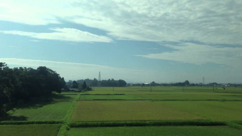 Rice Fields | Guitar by Naoki Tohdo