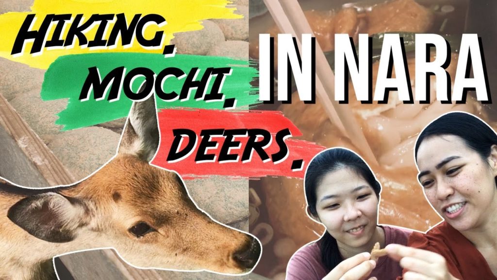 a day in Nara vlog // JAPAN