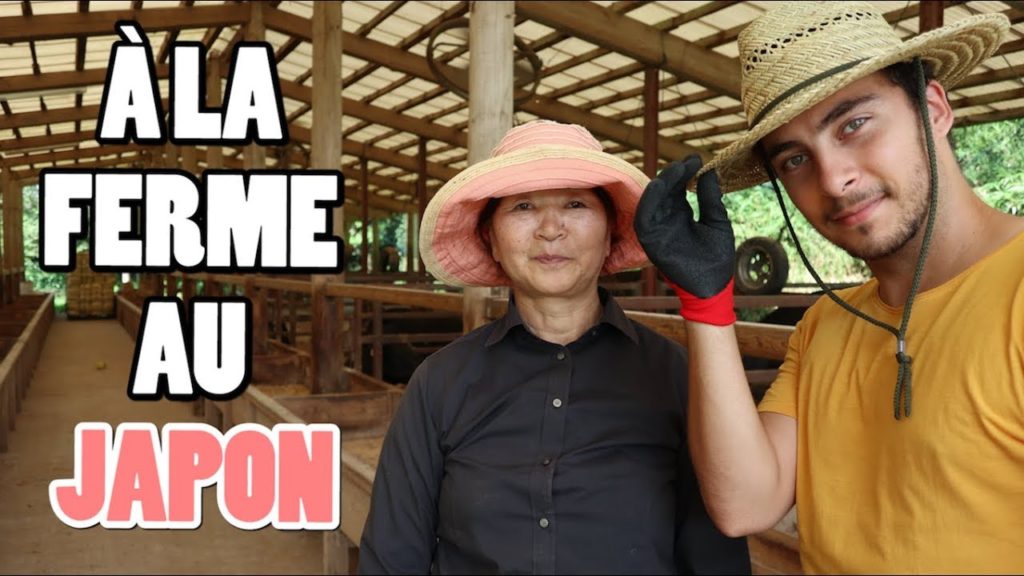 KOBAYASHI, l'énorme bon plan campagne à Kyushu