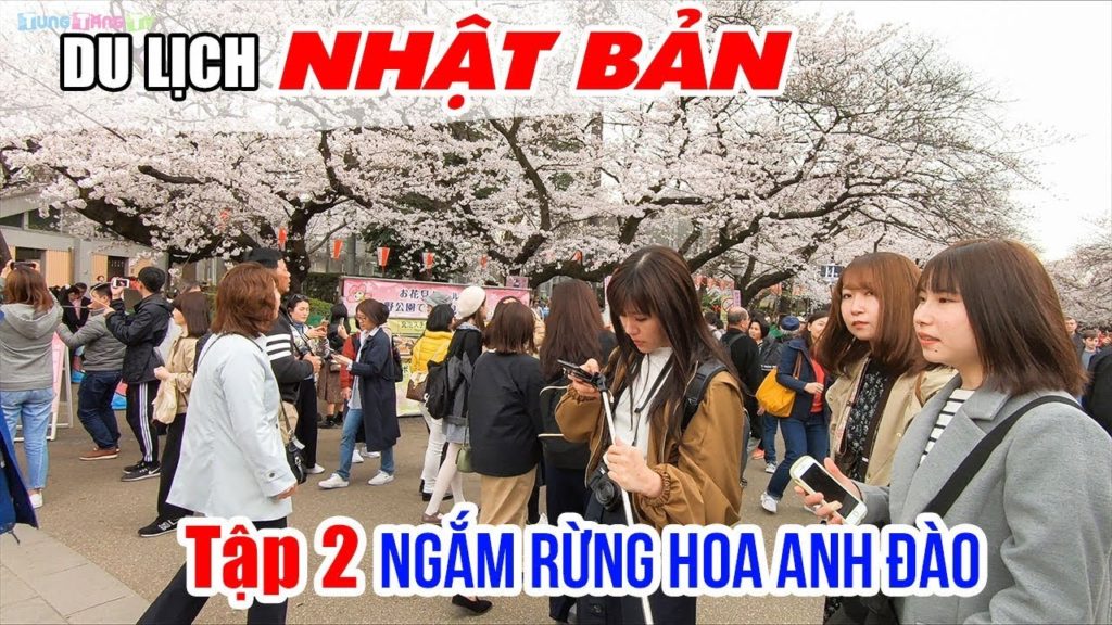 DU LỊCH NHẬT BẢN ▶ Mê mẩn với hàng ngàn cây Hoa Anh đang nở rộ  | Tập 2