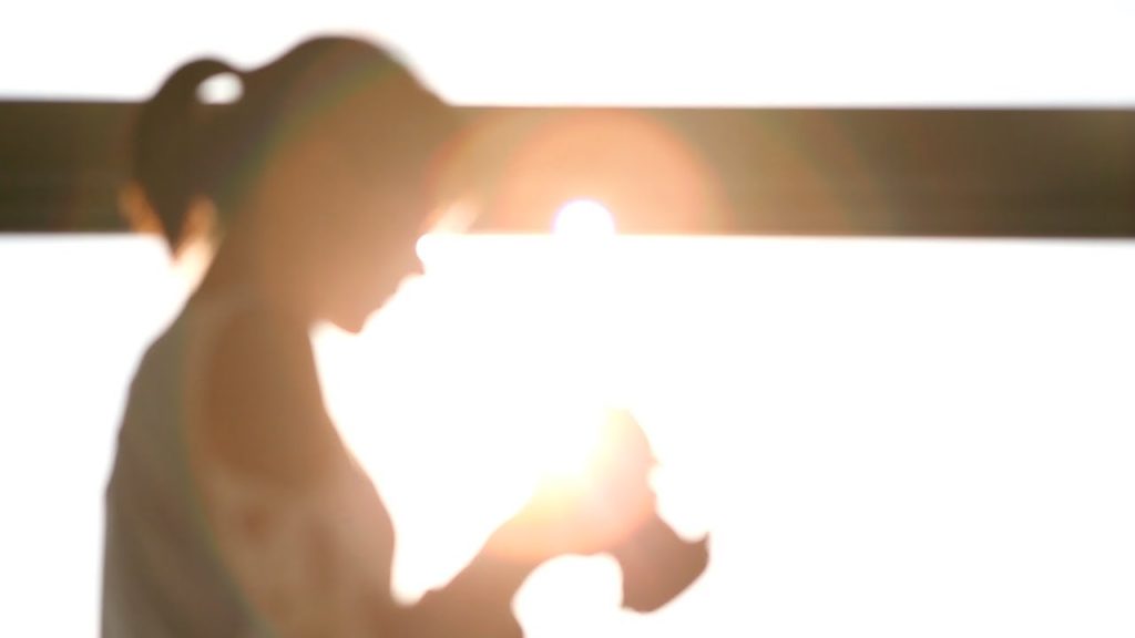 [일본여행] 슨푸공원, 스티커 in 시즈오카 / Sunpu Park/하나투어 스티커