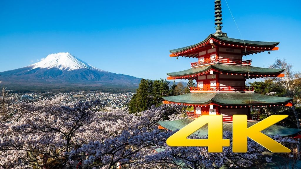 The Cherry Blossoms of Chureito Pagoda - Yamanashi - 忠霊塔 - 4K Ultra HD