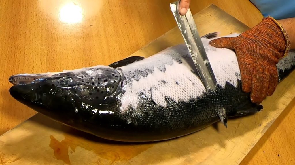 How To Fillet a Whole Salmon   How To Make Sashimi Series #2