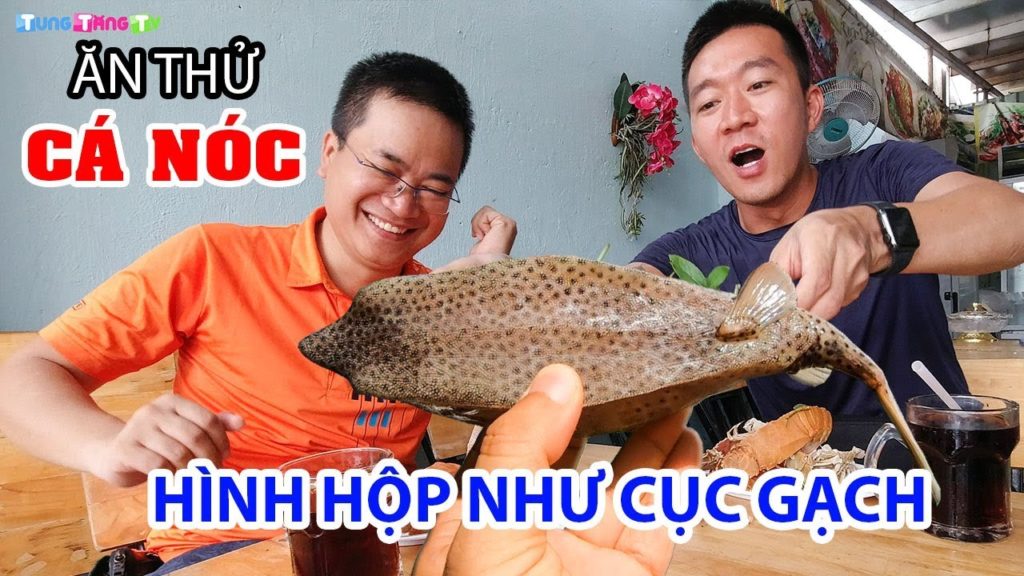Kỳ lạ Cá Nóc hình vuông ngon như thịt gà ▶ DU LỊCH CÔN ĐẢO