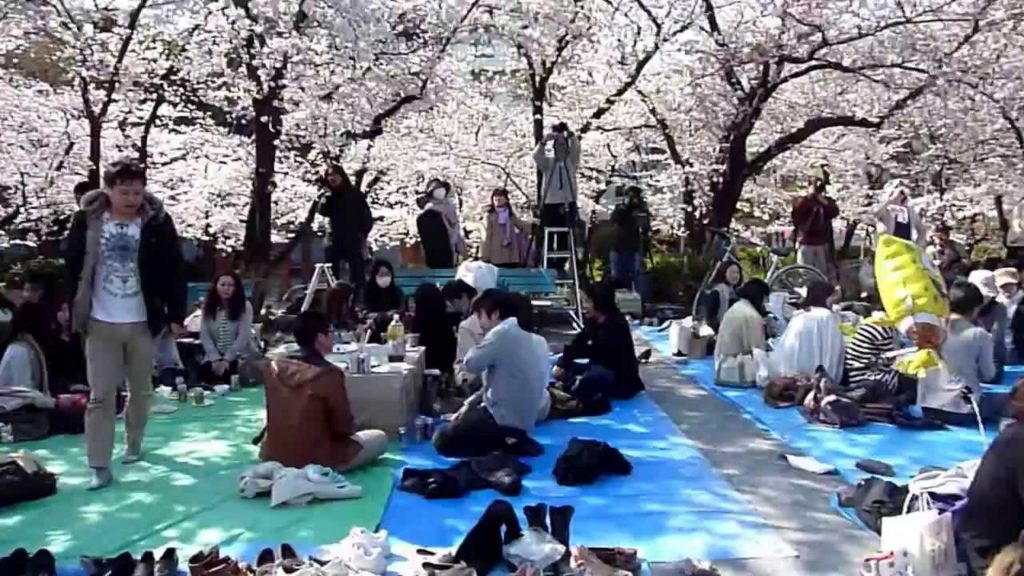 Tokyo picnic