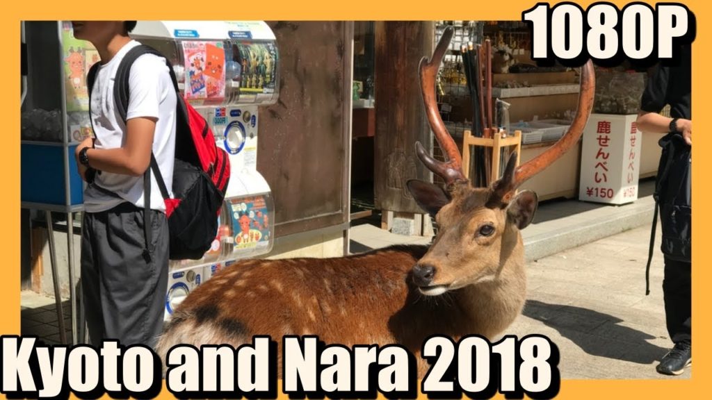 Walking again in Kyoto and Nara 2018 #Kyoto #Nara