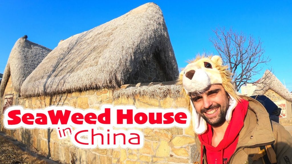 Incredible Travel in China | Seaweed houses in Shandong?