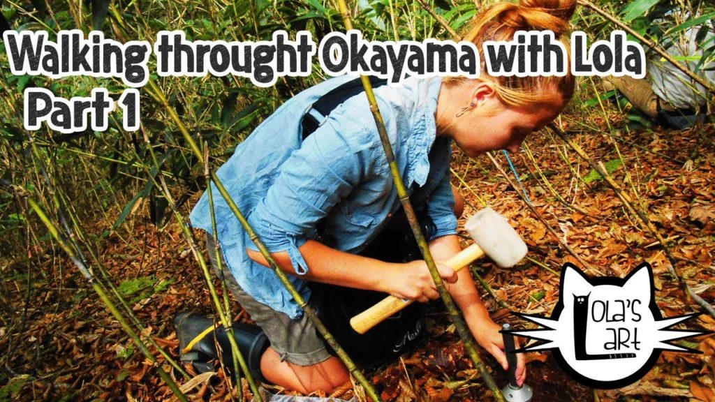 Walking throught Okayama with Lola part 1.