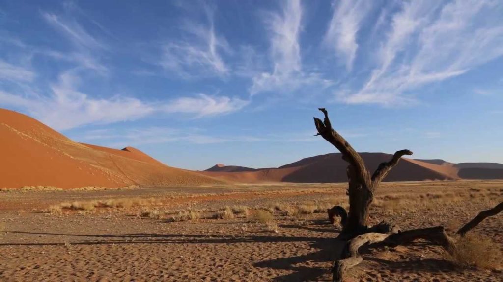 世界遺産　ナミブ砂漠(Namib Desert)　ナミビア(Namibia)　a worldheritage site of Namibu sandsea