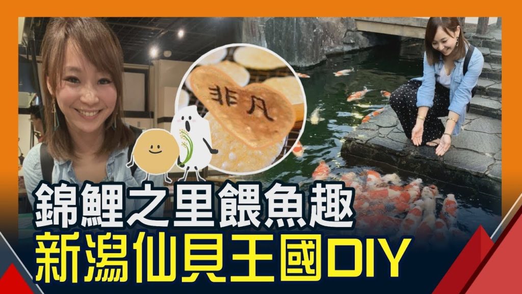 【日本 新潟玩很大】親子旅遊 |  にいがたし仙貝王國 烤仙貝DIY體驗 | 錦鯉之里 餵魚趣 Japan Niigata tourism