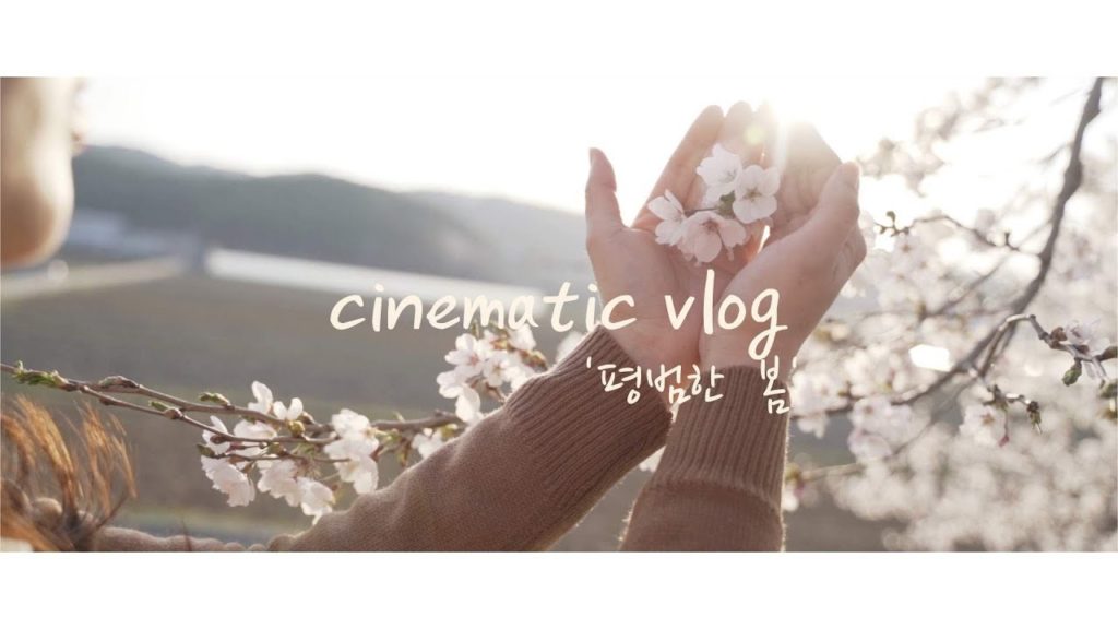 벚꽃 브이로그 ㅣ평범한 봄 ㅣ 벚꽃여행 vlog ㅣcinematic film ㅣ