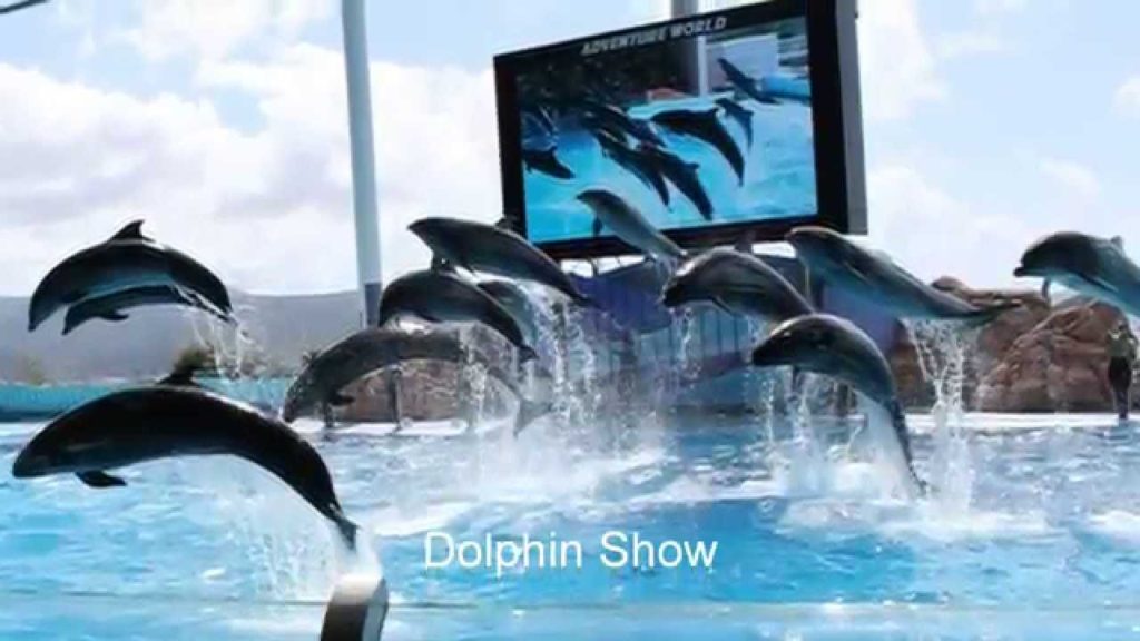 Japan Trip: Culture, History, Spirituality and More in Wakayama Prefecture 29 Japan Trip: Culture, History, Spirituality and More in Wakayama Prefecture 29