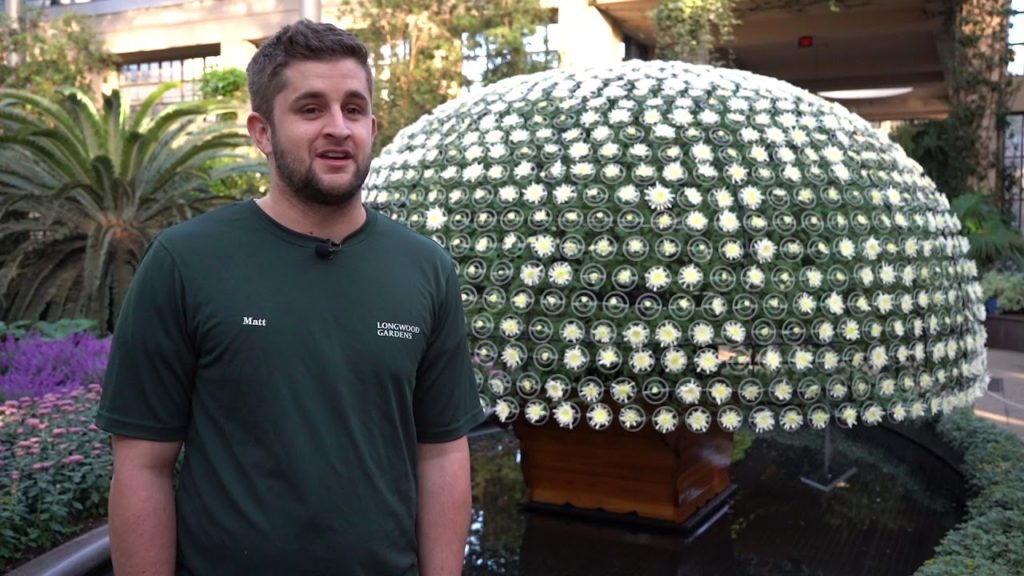 My Favorite Mum - Matt Peterson, Conservatory Horticulturist