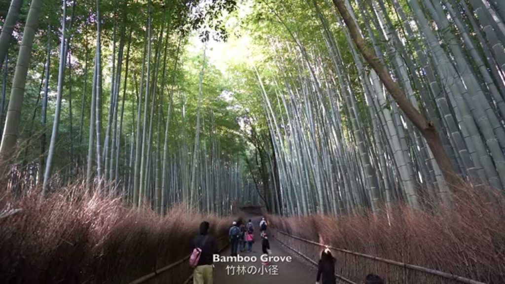 日本の秋 - Autumn in Japan