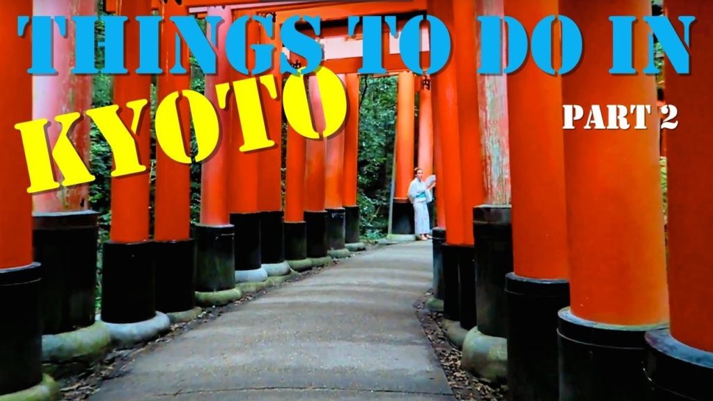 Geisha District | Tame Deer in Nara | JAPAN GUIDE | 奈良公園 | PART 2