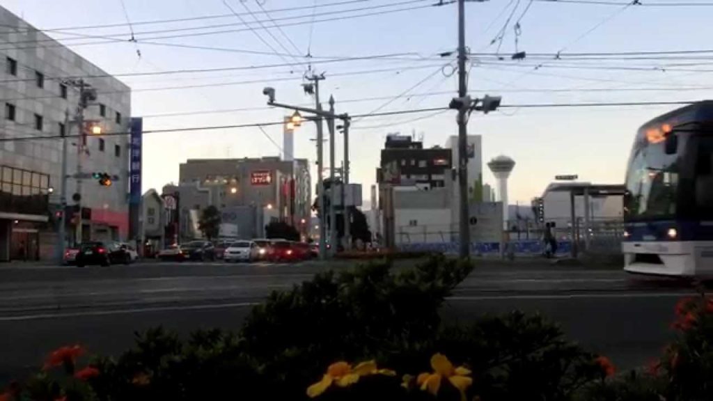 函館市電　Japan Hakodate City Tram ( Street Car )  9602 and 8004 with Goryokaku Tower