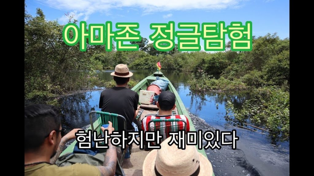 아마존 정글에 핑크돌고래!? 정글모기조심하세요 Pink dolphins in the Amazon jungle! Watch out for mosquitoes in the jungle