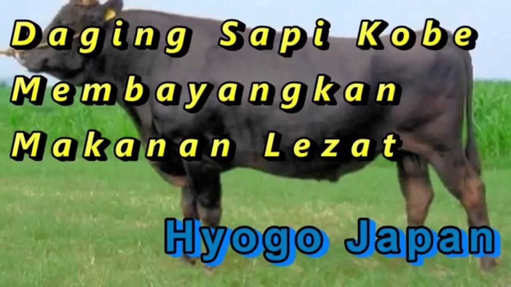 Wisata Jepang: Daging sapi Kobe Membayangkan Makanan Lezat, Hyogo, Jepang Wisata Jepang: Daging sapi Kobe Membayangkan Makanan Lezat, Hyogo, Jepang