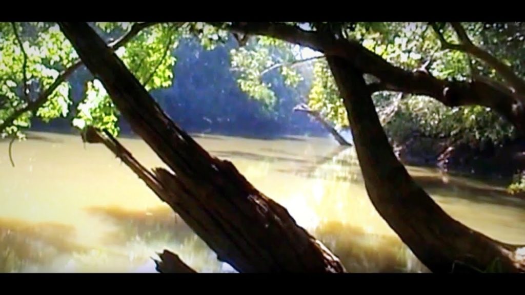 Kuruva Island - A Short Film on Kuruva Island Wayanad