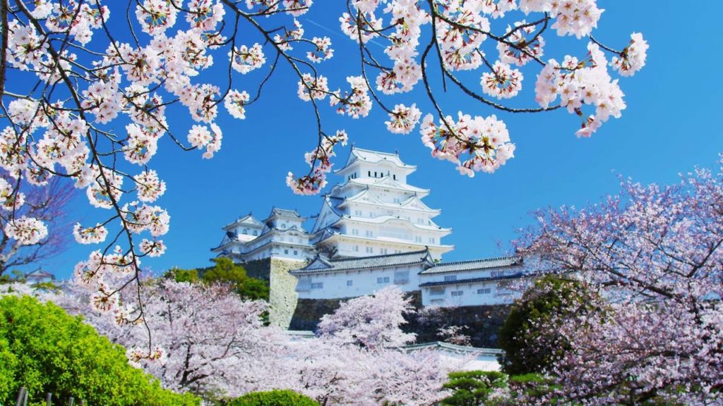 姫路城の桜 兵庫 Himeji-jyo Castle Hyogo Japan 【4K UHD】美しい日本の風景 The Beautiful Scenery of Japan 姫路城の桜 兵庫 Himeji-jyo Castle Hyogo Japan 【4K UHD】美しい日本の風景 The Beautiful Scenery of Japan
