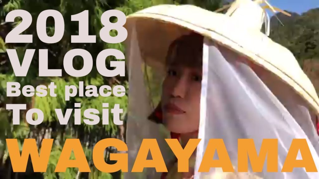 日本和歌山怎麼玩？2018和歌山自由行｜自駕遊｜高野山｜熊野｜那智｜白浜｜關西機場｜Travel Vlog｜wakayama