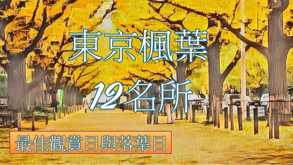 東京 12大賞楓名所 最佳觀賞日與落葉日預測 / 晚去也看的到喔 / 日本自由行15