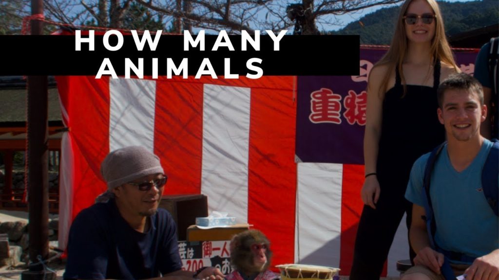 Island of Animals (JAPAN) Island of Animals (JAPAN)