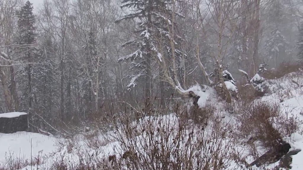 Mount Kurodake Daisetsuzan National Park Sounkyo Kamikawa Hokkaido Japan