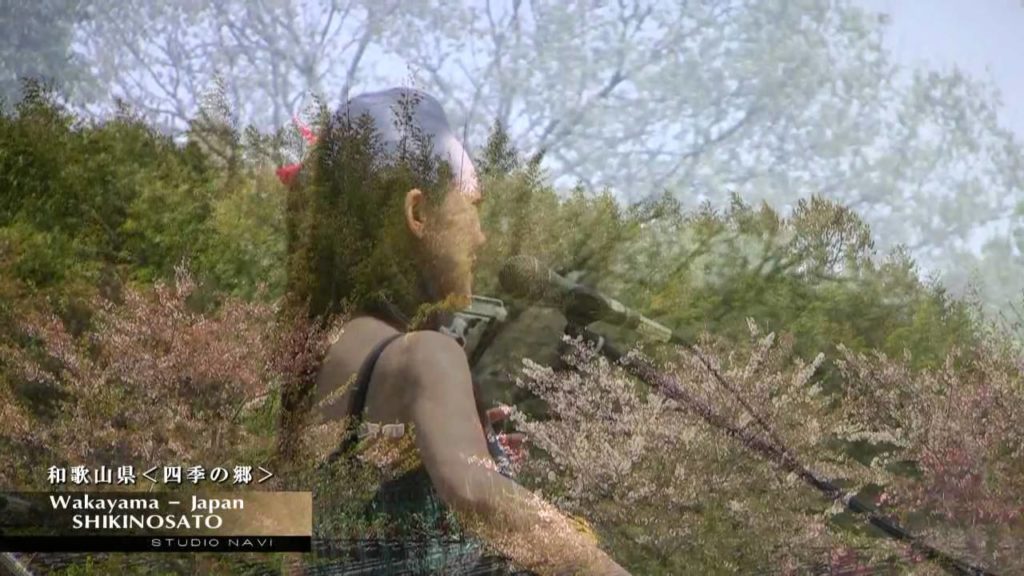 Japan / wakayama / 和歌山 / 四季の郷