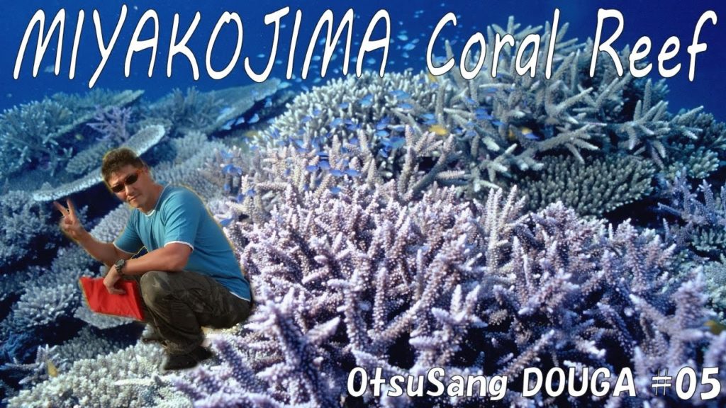 MIYAKO Coral Reef in Okinawa Islands. MIYAKO Coral Reef in Okinawa Islands.