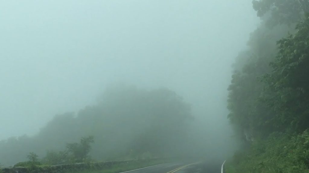Shenandoah National Park: Thick Foggy day on Skyline Drive