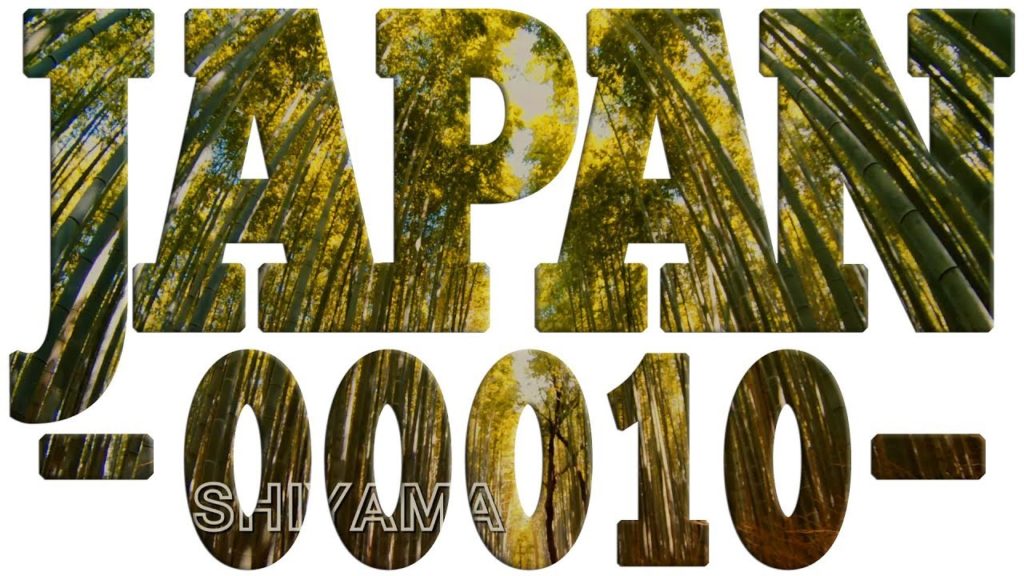 JAPAN TRAVEL⭐️ Amazing Trip! KYOTO ARASHIYAMA bamboo grove 3 of 3