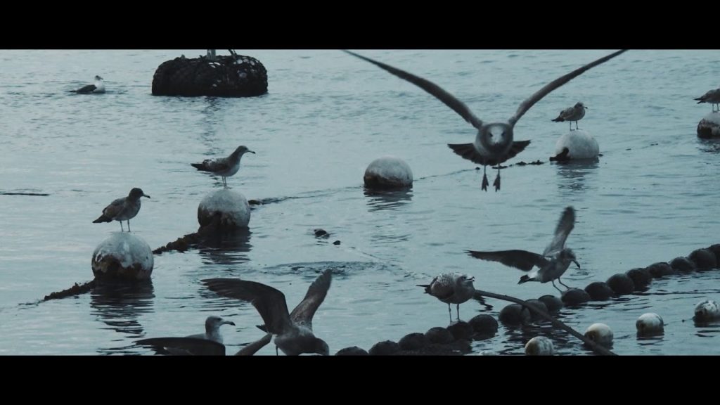 【Teaser】Susaki, Kochi, Japan - 須崎