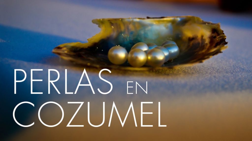 Nada entre sembradíos de perlas en Cozumel