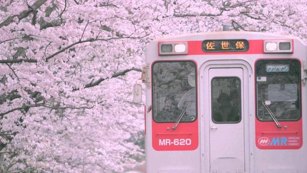 浦ノ崎駅　桜のトンネル[Hi-res/4K SAGA] 　Uranosaki Station Sakura tunnel