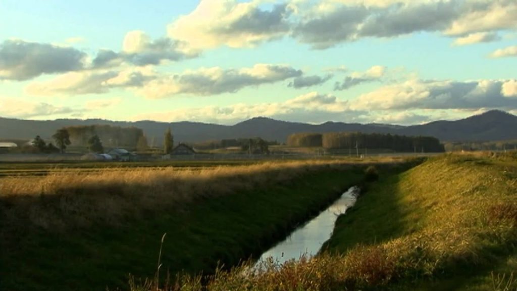 Sky mania Autumn in Rice farm.