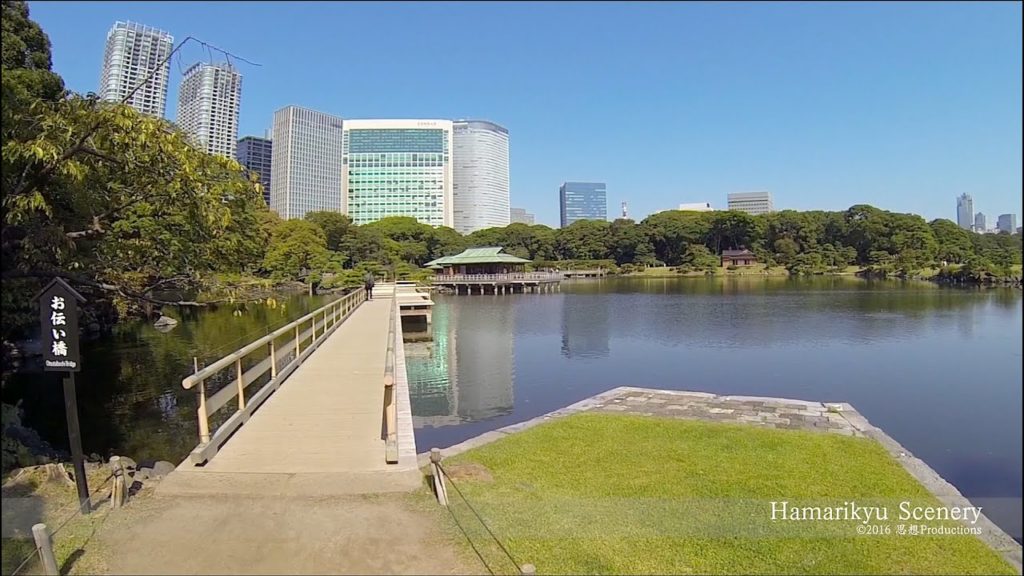 浜離宮恩賜庭園  Walk in Hamarikyu Gardens, Tokyo JAPAN