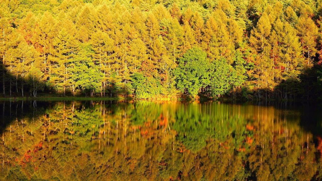 4K 紅葉 絶景 癒し自然映像 「初秋～錦秋の御射鹿池」Japan Mishaka Pond Autmun / アヴェマリア シューベルト Christmas Ave Maria