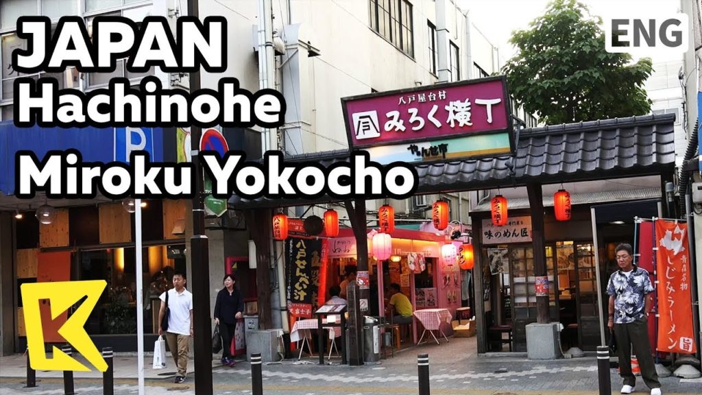 【K】Japan Travel-Hachinohe[일본 여행-하치노헤]포장마차 골목 미로쿠 요코초/Food Stall Village/Miroku Yokocho/Car bar
