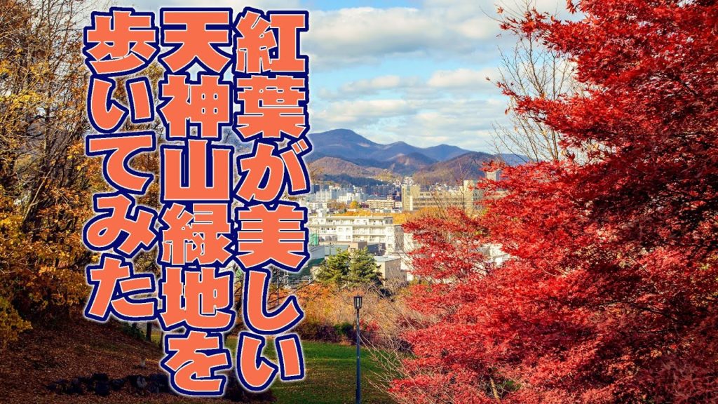 紅葉が美しい天神山緑地を歩いてみた　2019年11月5日